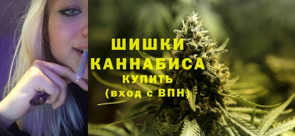 прущая мука Сясьстрой