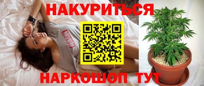 дмт Тверь