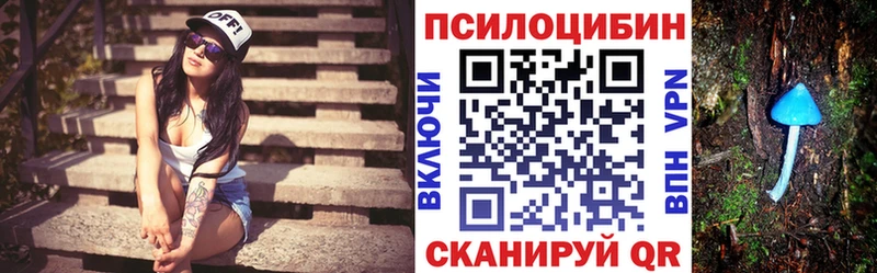 мориарти как зайти  Острогожск  Галлюциногенные грибы Cubensis 