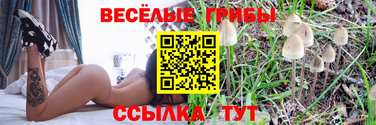 Псилоцибиновые грибы прущие грибы Острогожск