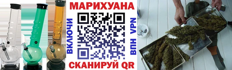 Канабис сатива  Острогожск 